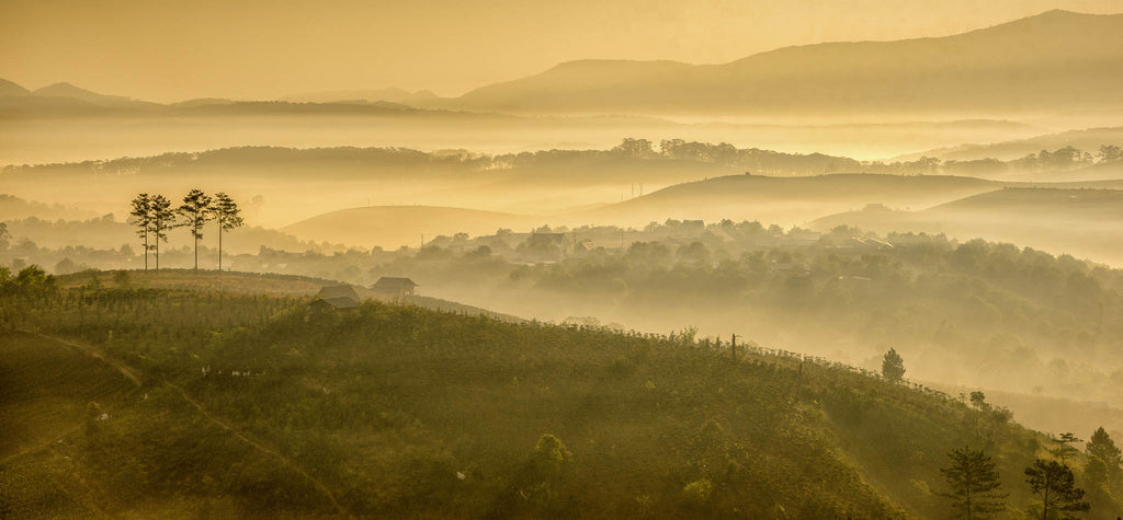 vietnam mountains