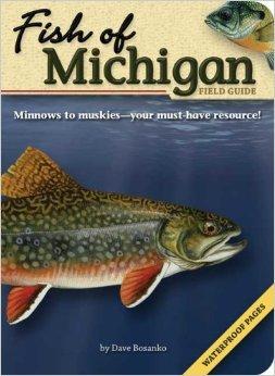 Fish of Indiana Field Guide (Fish Identification Guides) : Bosanko, Dave:  : Books