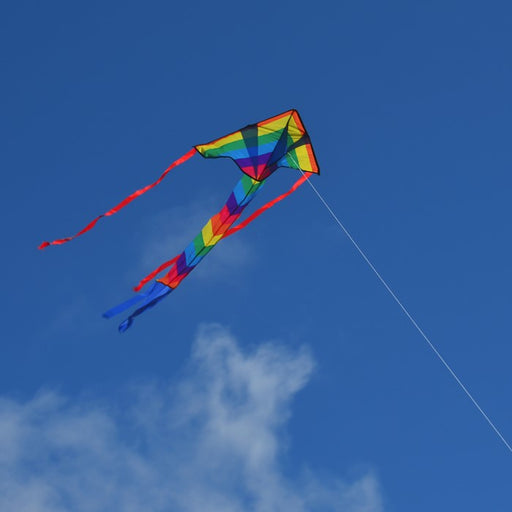  In the Breeze Colorwave Stunt Kite - Dual Line Sport