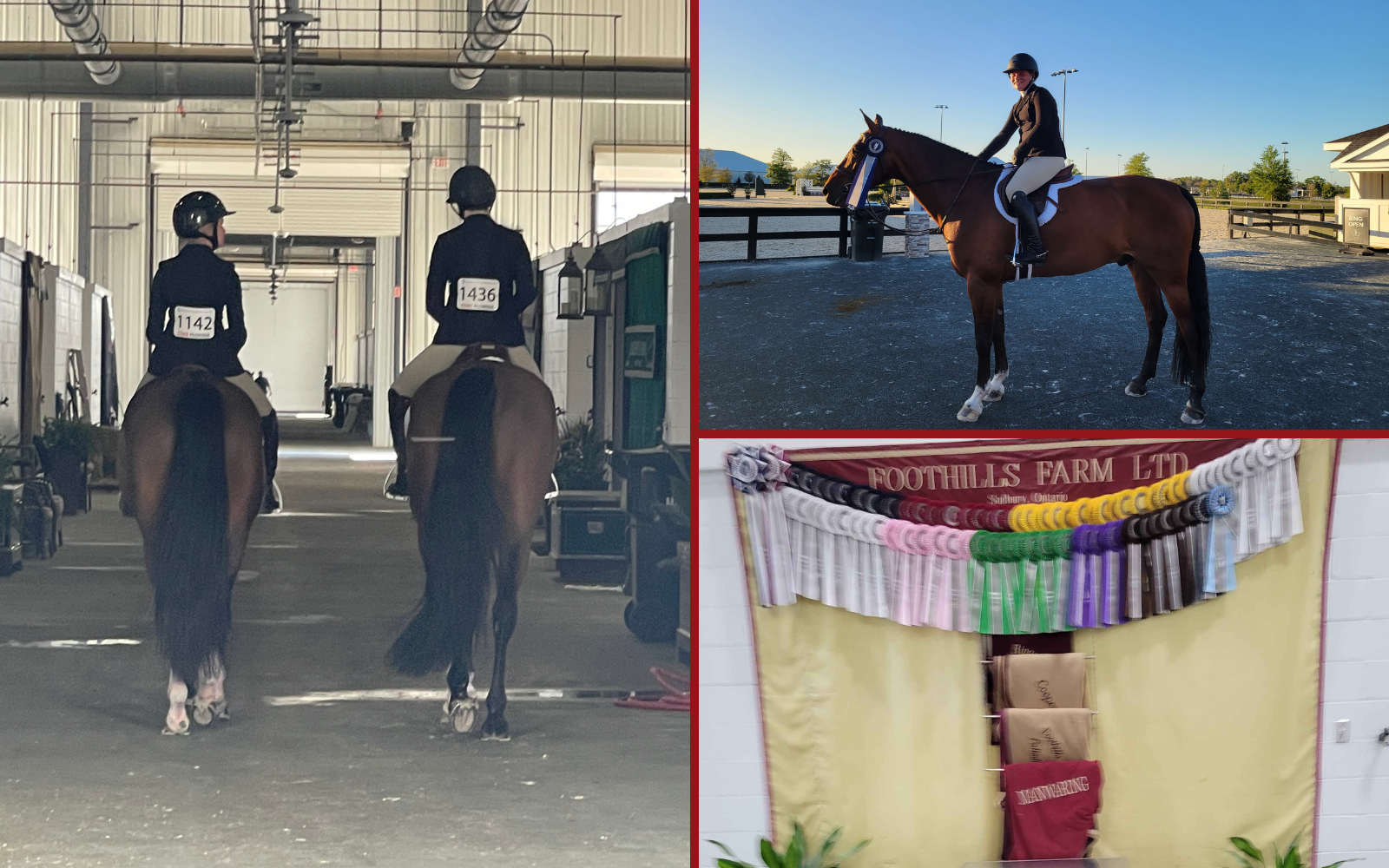 Girls from Foothills Farm showing and riding horses at top horse shows in Flroida. Learn to horseback ride at Foothills Farm