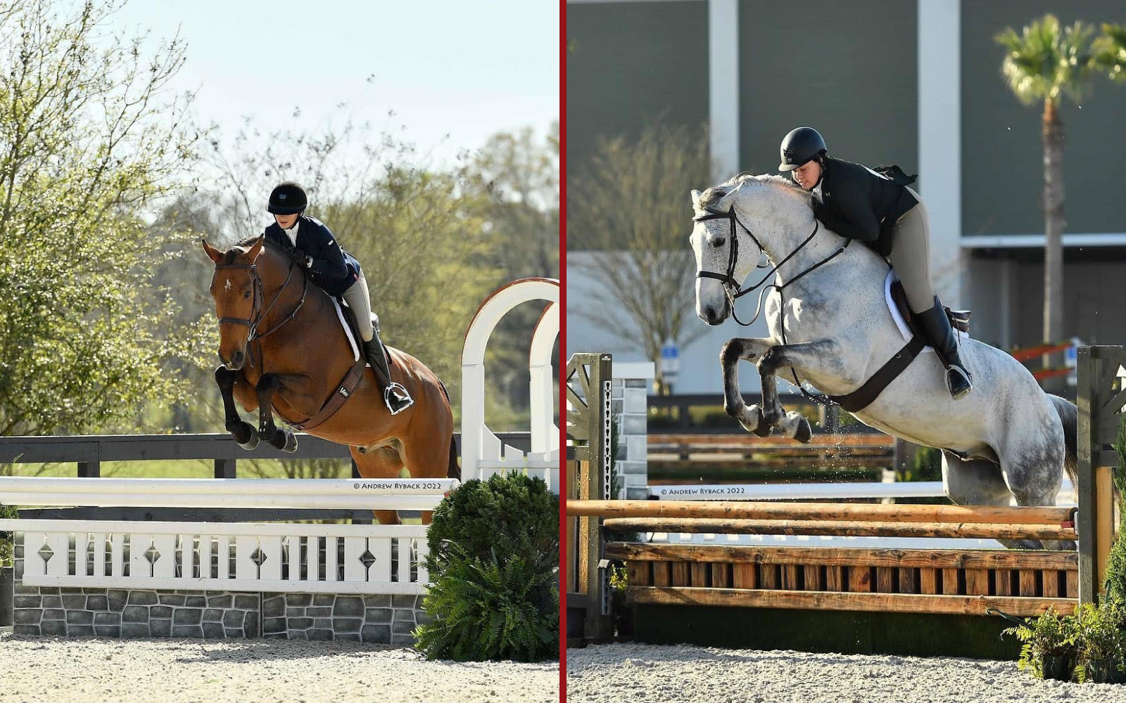 Learn to ride horses and compete at the top horseshows at Foothills Farm