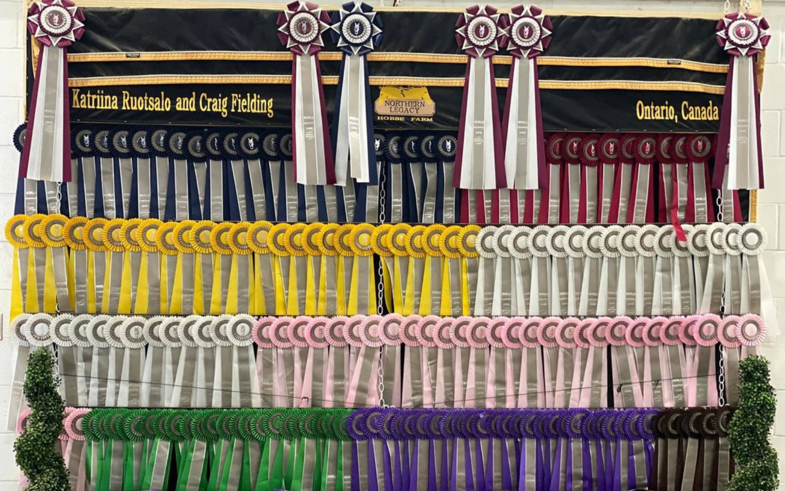 Northern Legacy Horse Farm's horse show ribbons from horseback riders.