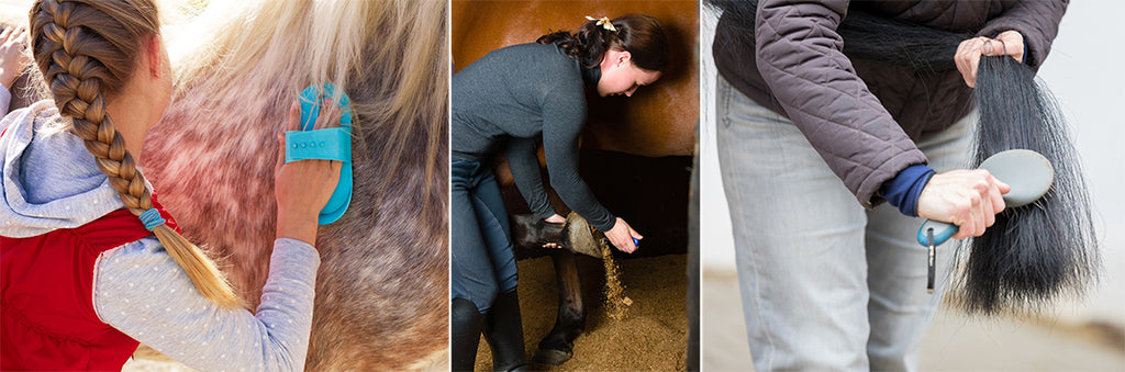 Foothills Farm Sudbury Ontario Riding Lessons