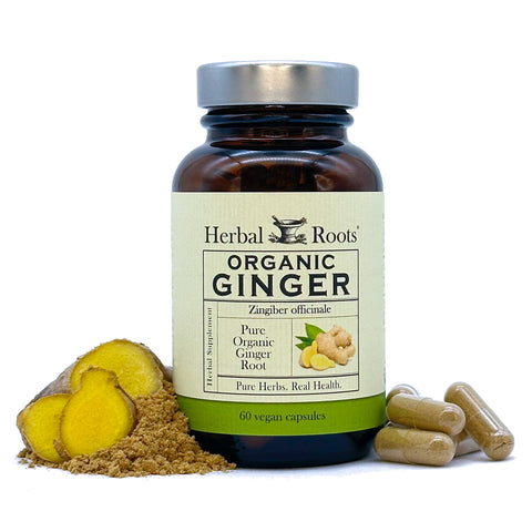 Bottle of Herbal Roots Organic Ginger with capsules to the right of the bottle and fresh ginger root and ginger powder on the left