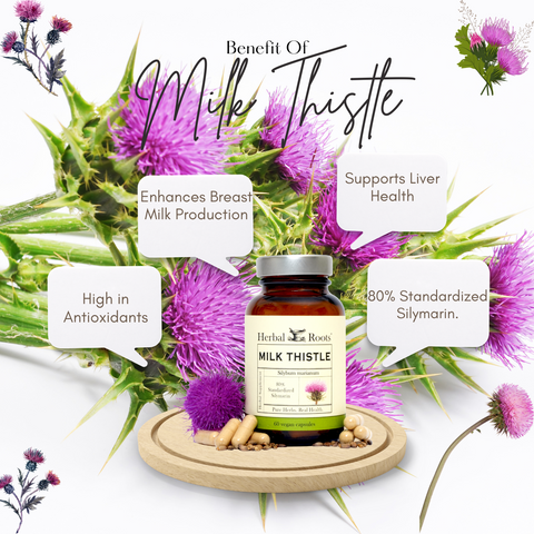 Background of Milk Thistle with a bottle of Herbal Roots Milk Thistle on a small round platform. Text bubbles surround the bottle that say Enhances Breast Milk Production, High in Antioxidants, 80% Standardized Silymarin and Supports Liver Health