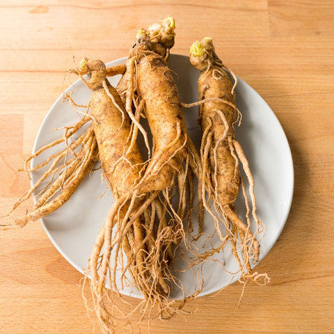 three korean ginseng roots on a plate