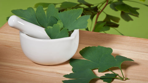 Ginkgo leaves in a porcelain mortar with pestle on a wood table.
