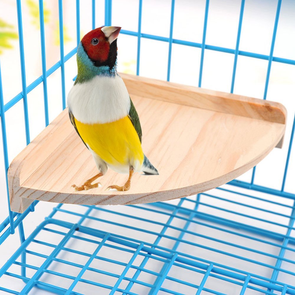 Bird Perch Platform Stand, Corner Perch 