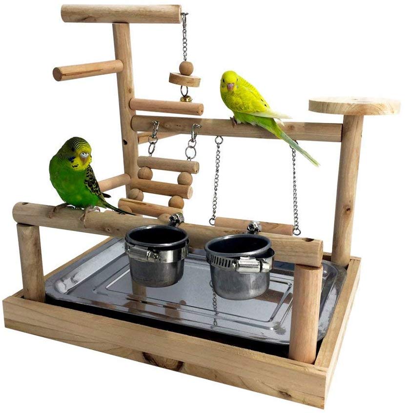 parrot stand wood