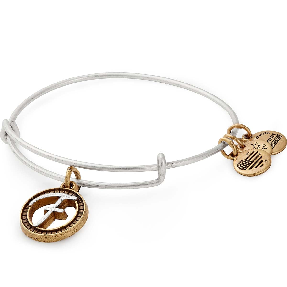 alex and ani initial h bracelet