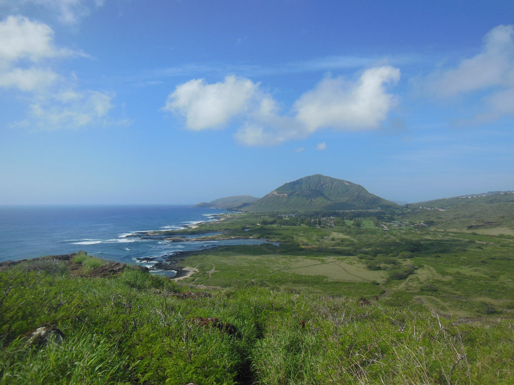 Koko Crater and Koko Head photographed from Makapuu Lighthouse trail, Oahu, Hawaii, by Daniela Dägele