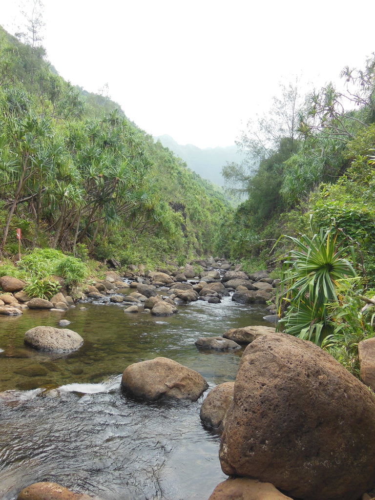 Hanakapiai Stream along the Hanakapiai Trail, Kauai, Hawaii, photographed by Daniela Dägele