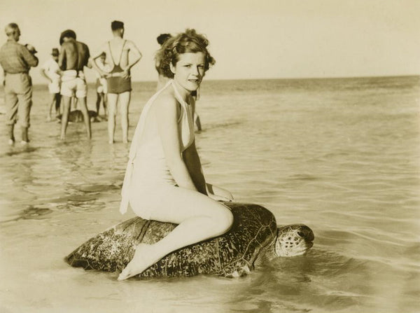 Young woman riding on the back of a turtle at Mon Repos Beach, near Bundaberg, ca. 1930. Source: John Oxley Library, State Library of Queensland, Brisbane Australia. Public Domain via Wikimedia Commons
