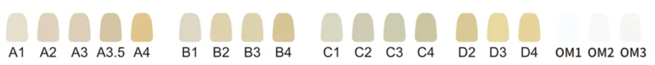 Multilayered Zirconia Coping Shade Color Guide