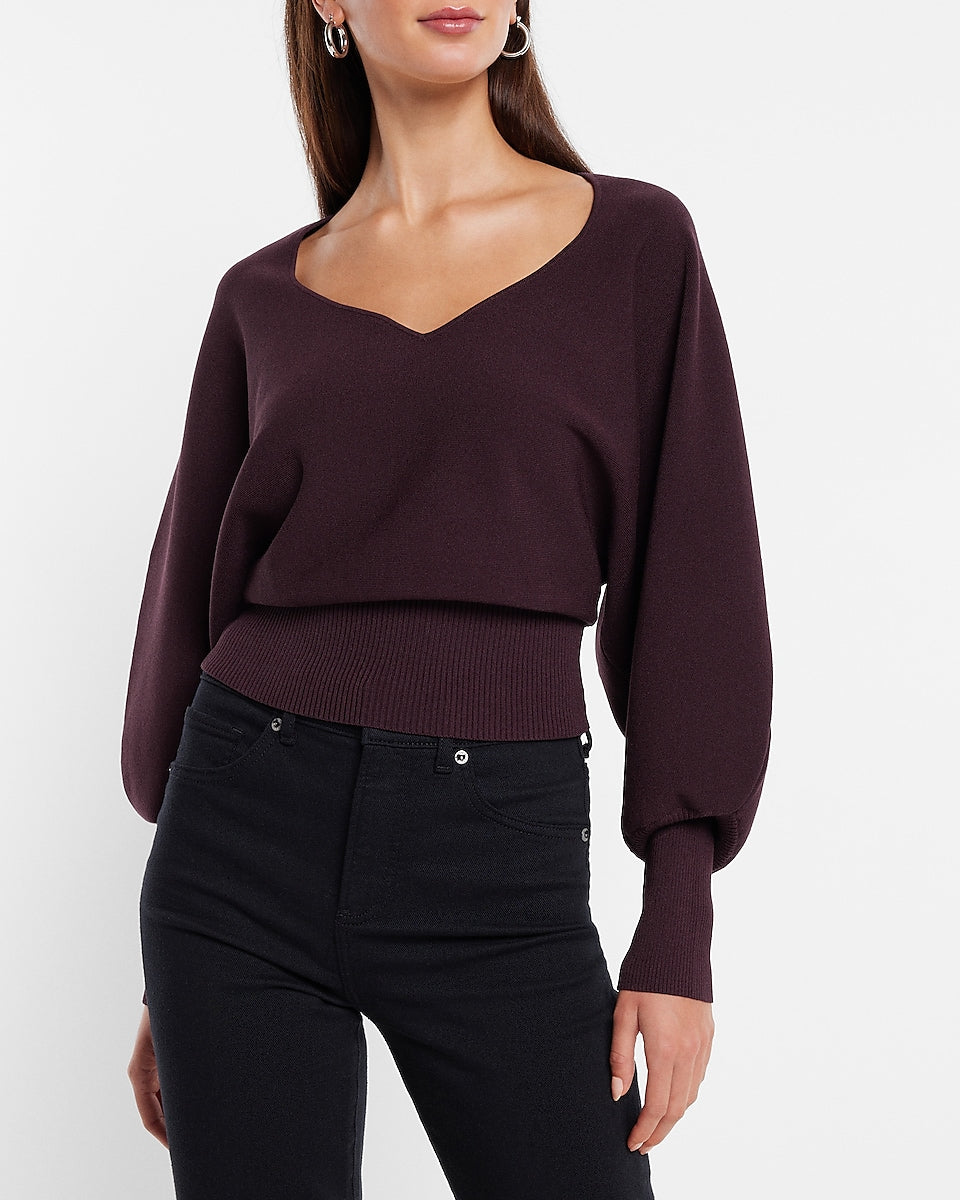 Express V Neck Relaxed Dolman Sleeve Sweater In Dark Purple Express Style Trial