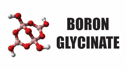 boron glycinate for testosterone