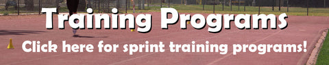 sprint training programs