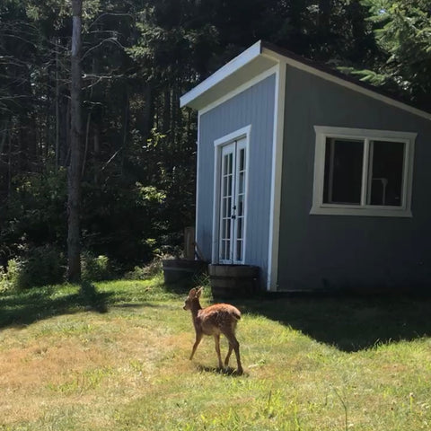 San Juan Island Artists' Studio Tour