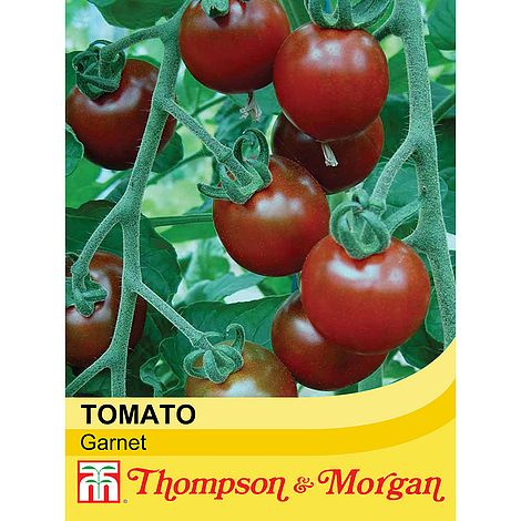 Tomato Gartenperle