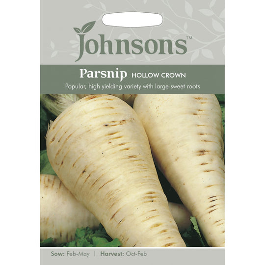 Parsnip Hollow Crown Seeds Image 1