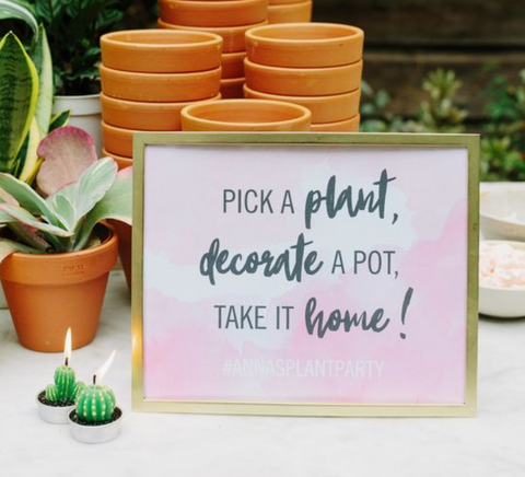 Small clay planters stacked. Gold frame with pink and white background giving instructions.