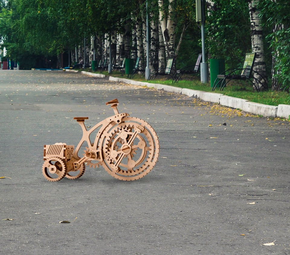 Bicycle - Wooden 3D mechanical model. No glue or cutting required Construction set