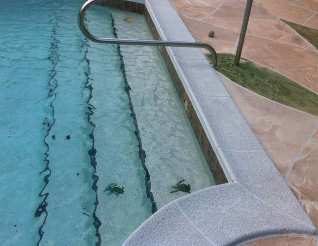 Baby Turtles heading down the pool steps