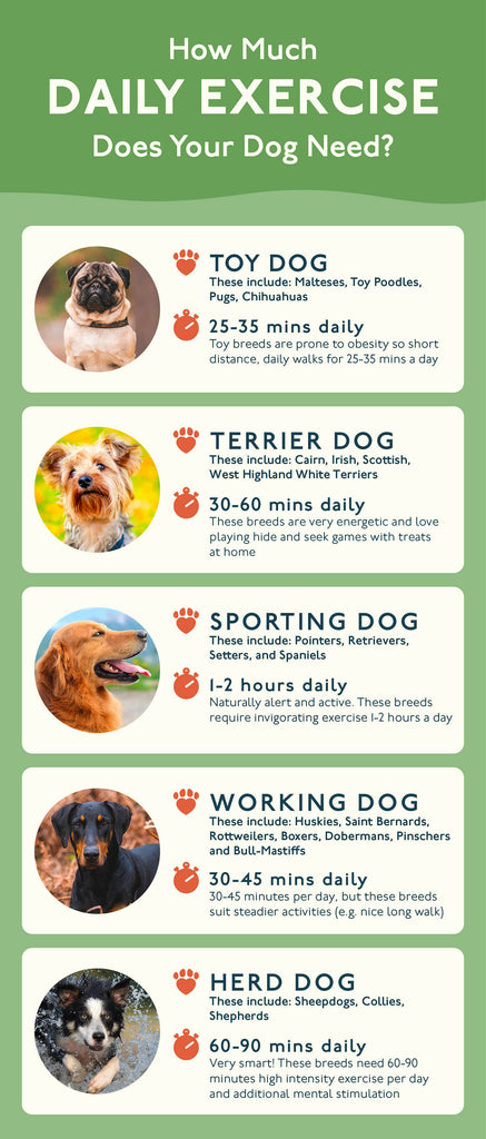 Petlab Co. exercise guide