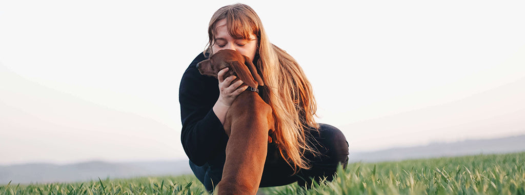 dog with owner in field