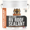 BEEST RV Roof Sealant (Silicone Premium Liquid Rubber)