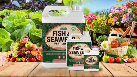 Different size variants of PetraTools fish and seaweeds fertilizer