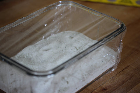 saran wrapped salt cured eggs