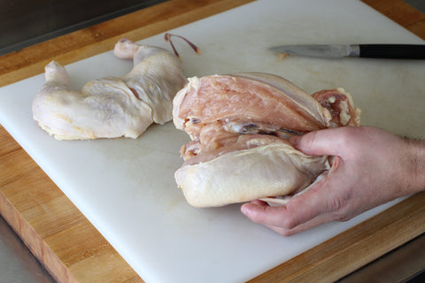 showing the backbone of a chicken