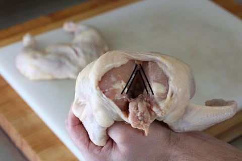 where the wishbone is located on a chicken 