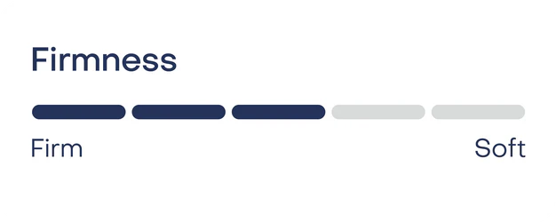 deluxe_mattress.webp__PID:8ac65c8c-c186-4a9c-9add-d9fb47e68fcb