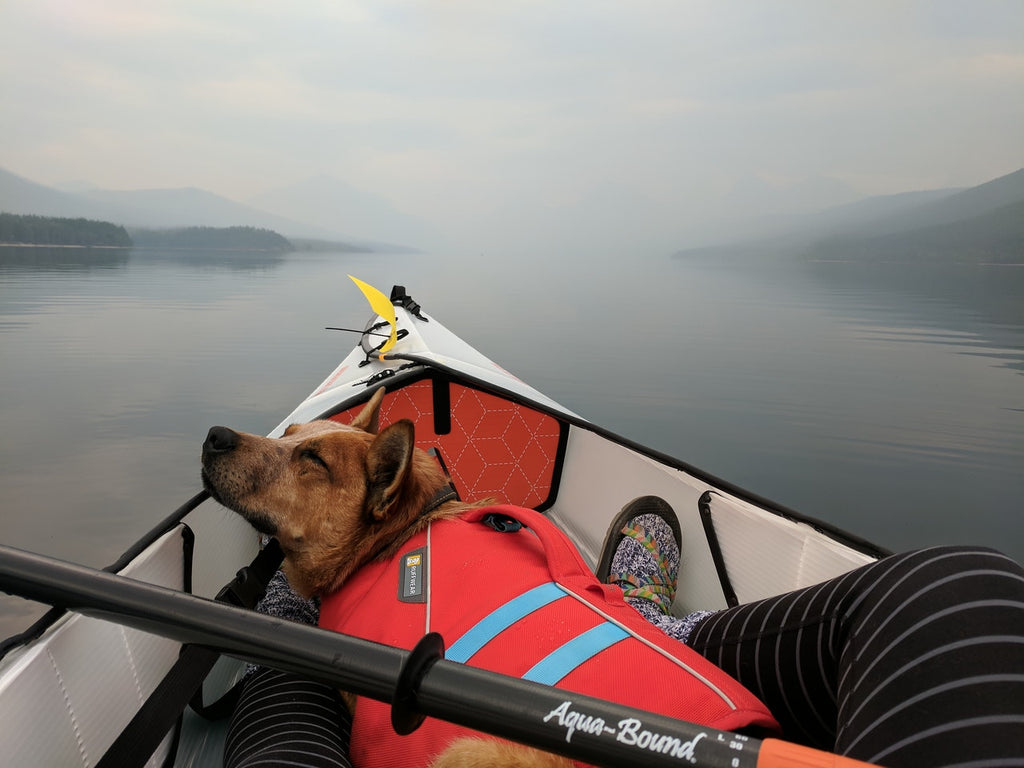 Dog Kayaking - 10 Water Activities to Enjoy With Your Dog