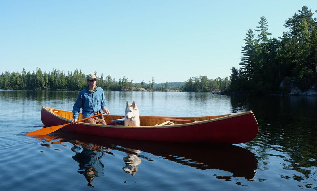 Dog canoeing with owner in lake - 10 Water Activities to Enjoy With Your Dog