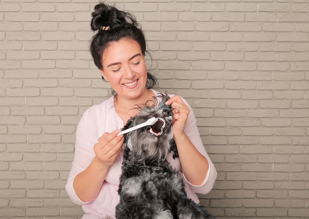 girl brushing her dogs teeth - 3 Easy Recipes for Homemade Dog Toothpaste