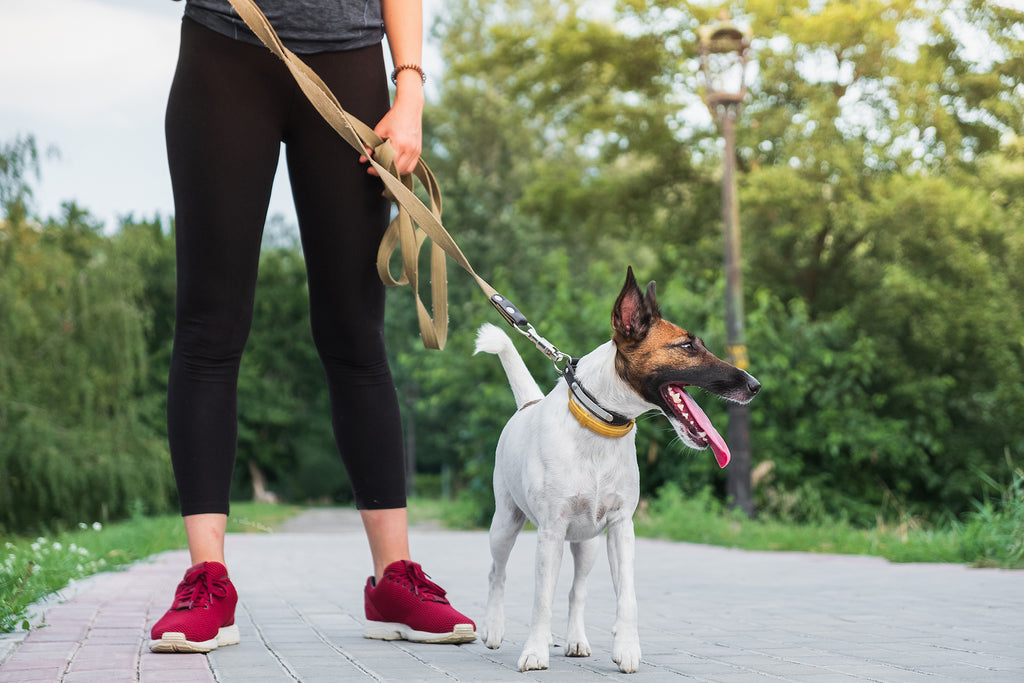 A Spring Guide to Running with Your Pup - Woman running with her dog on leash