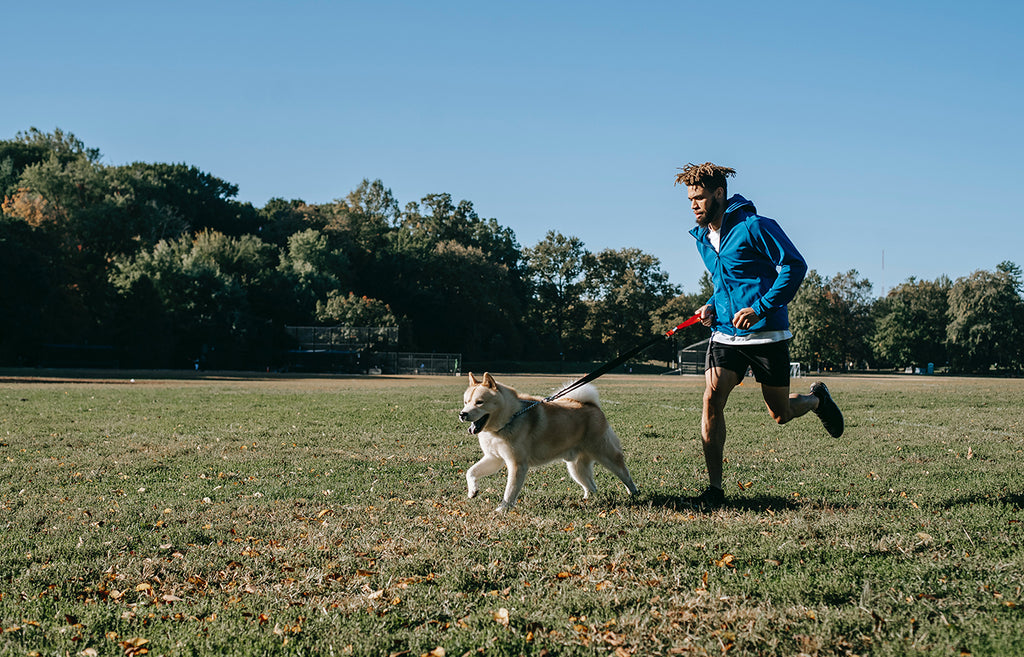 Man running with his dog - A Spring Guide to Running with Your Pup