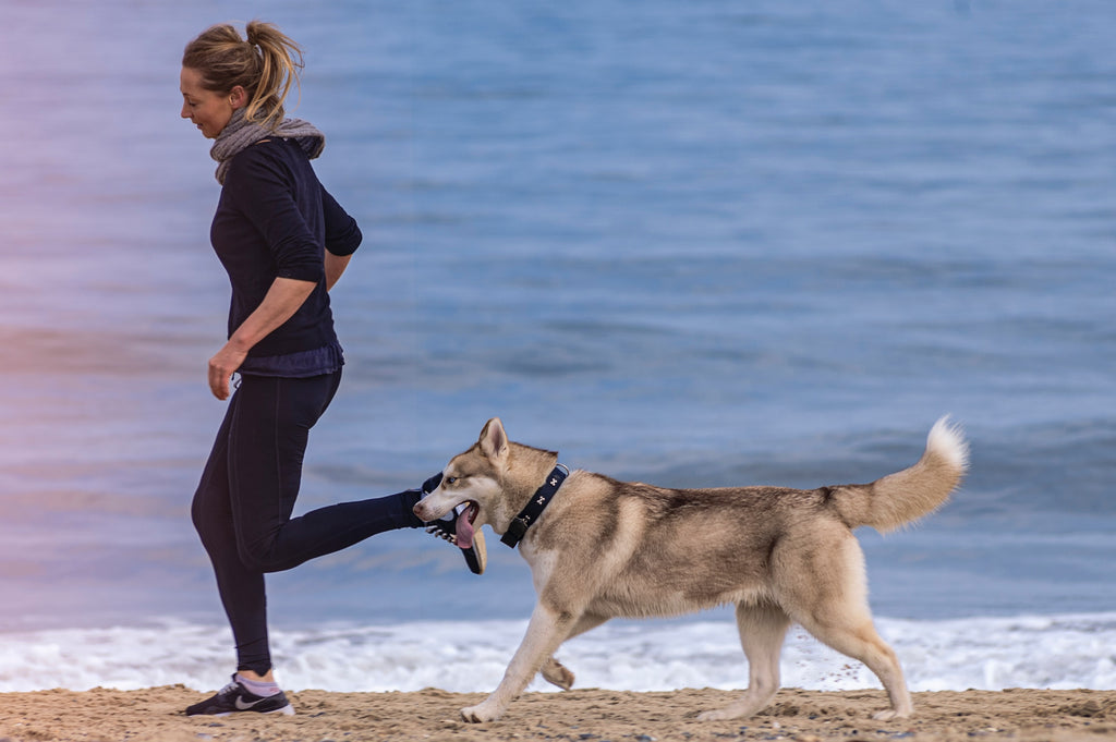 Woman running on the beach with dog off leash - A Spring Guide to Running with Your Pup