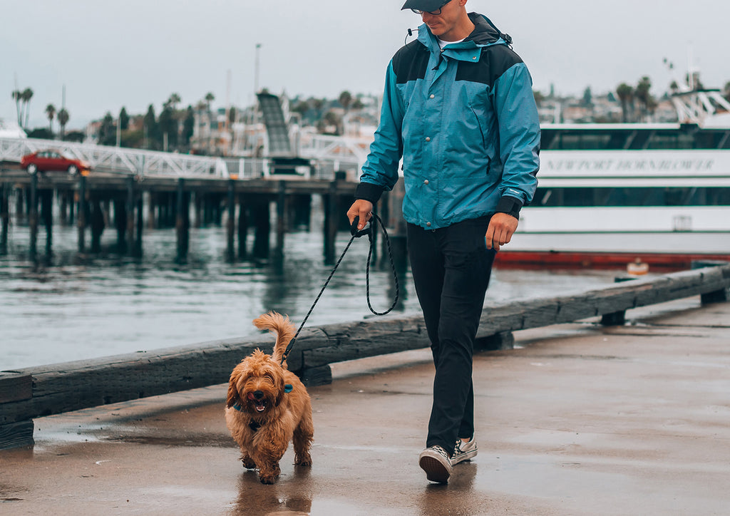 Man walking his dog in the rain - A Spring Guide to Running with Your Pup