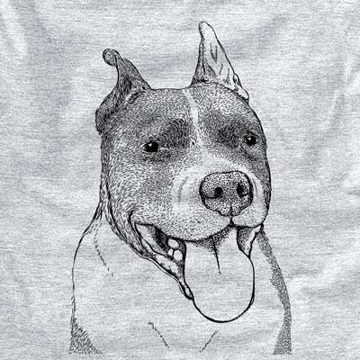American Staffordshire Terrier drawing