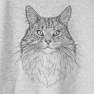Angel the Maine Coon Cat drawing