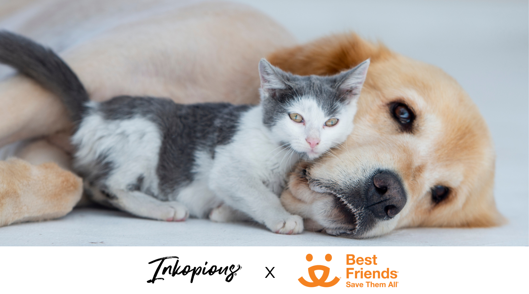 Best Friends Animal Society x Inkopious