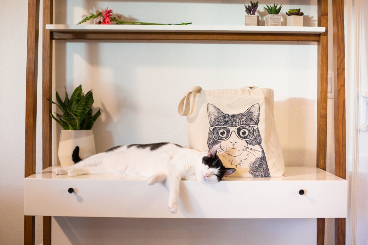 Black and white cat tote bag