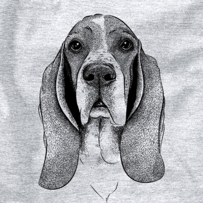 Basset Hound drawing