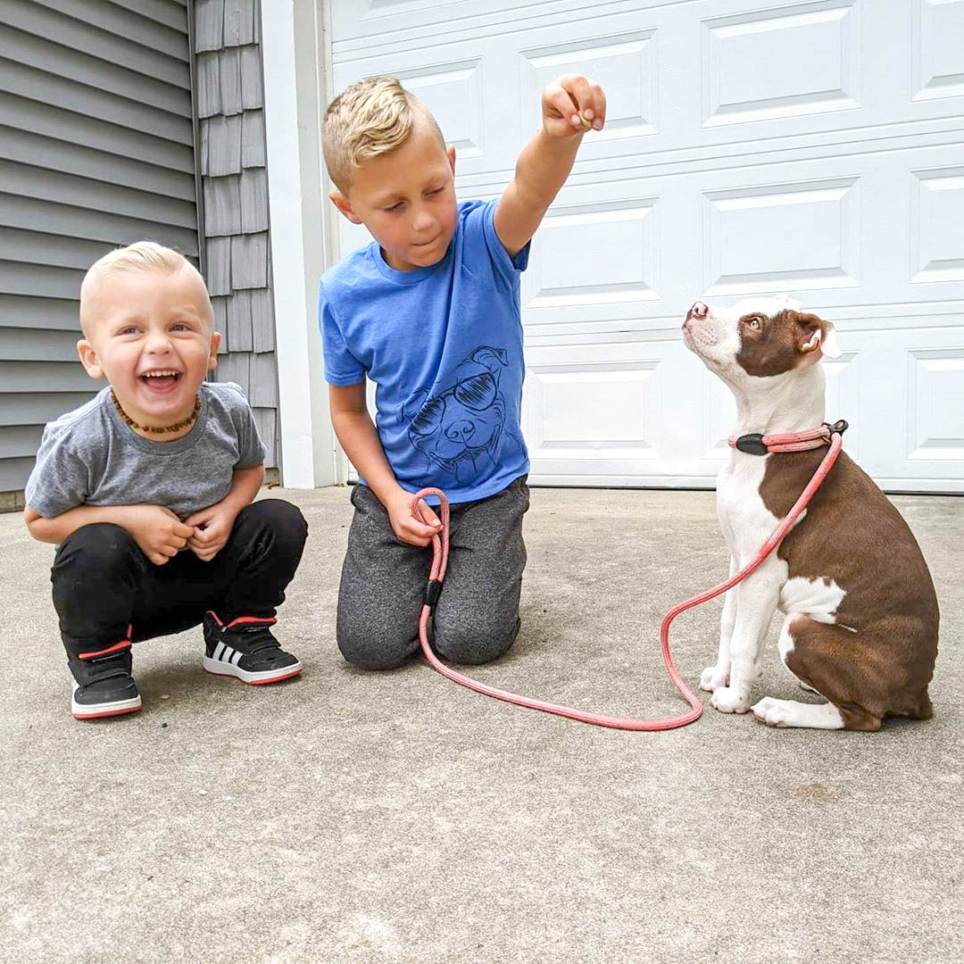 Kids giving dog a treat