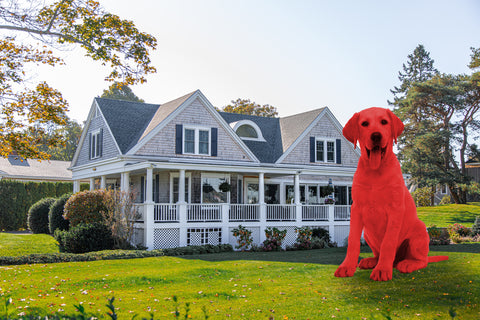 Big red dog