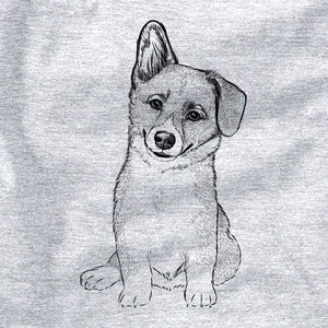 Corgi puppy drawing